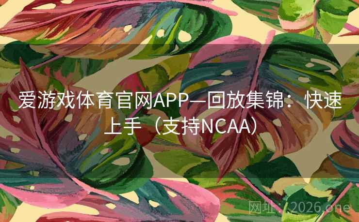 爱游戏体育官网APP—回放集锦:快速上手(支持NCAA) 第2张 爱游戏体育官网APP—回放集锦:快速上手(支持NCAA) 第2张