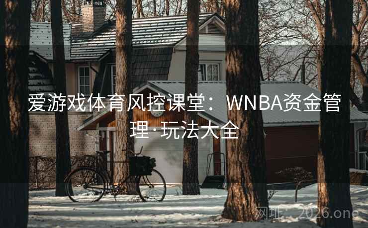 爱游戏体育风控课堂：WNBA资金管理·玩法大全  第2张