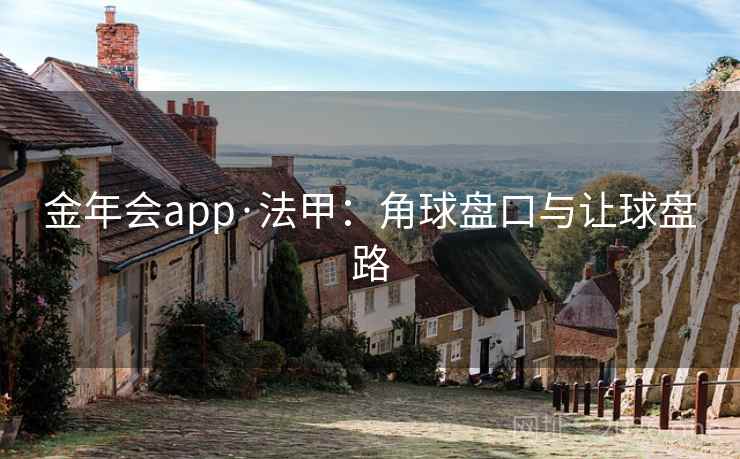 金年会app·法甲:角球盘口与让球盘路 第2张 金年会app·法甲:角球盘口与让球盘路 第2张