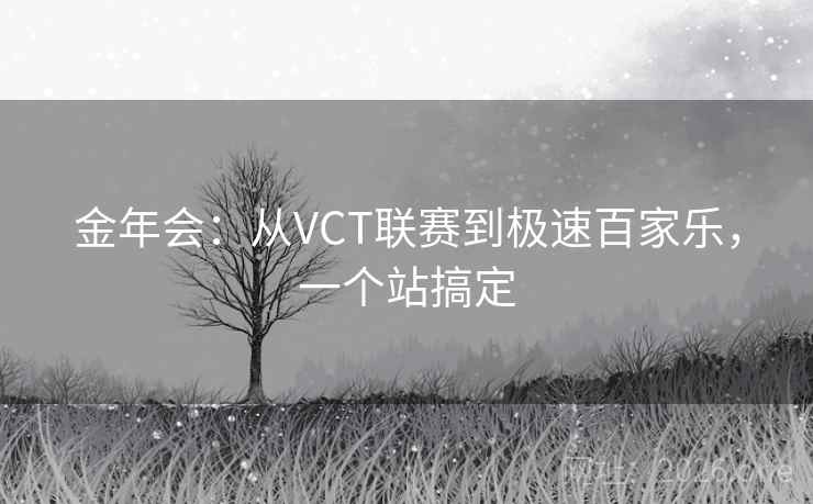 金年会：从VCT联赛到极速百家乐，一个站搞定