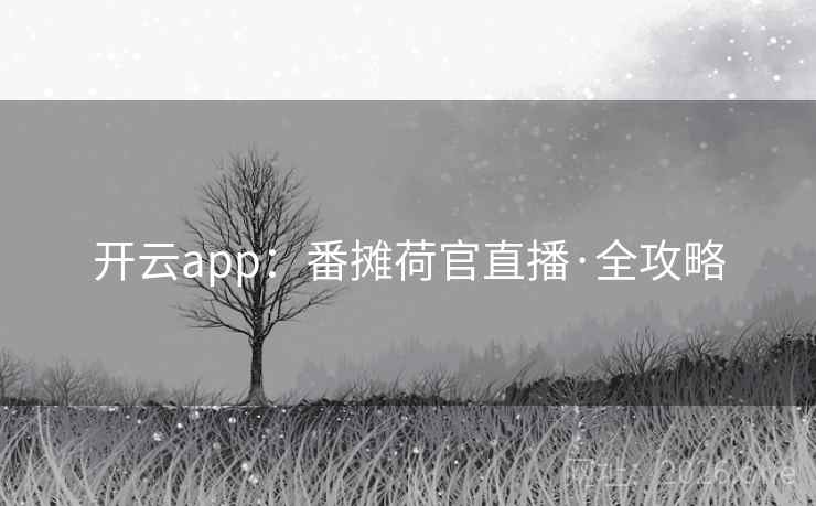 开云app：番摊荷官直播·全攻略