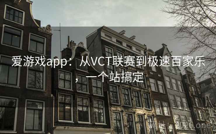 爱游戏app：从VCT联赛到极速百家乐，一个站搞定  第2张