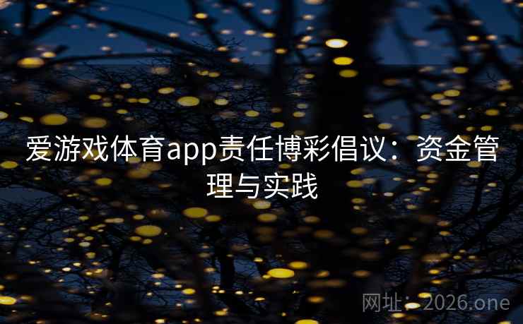 爱游戏体育app责任博彩倡议：资金管理与实践  第2张